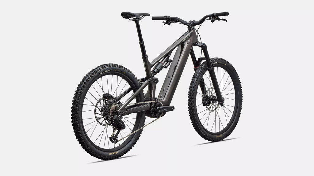 Specialized Turbo Levo 4 EVO Comp product detail 3