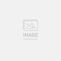 Specialized Turbo Levo SL 2 Comp in Cypress Metallic / Cypress / Dark Moss Green