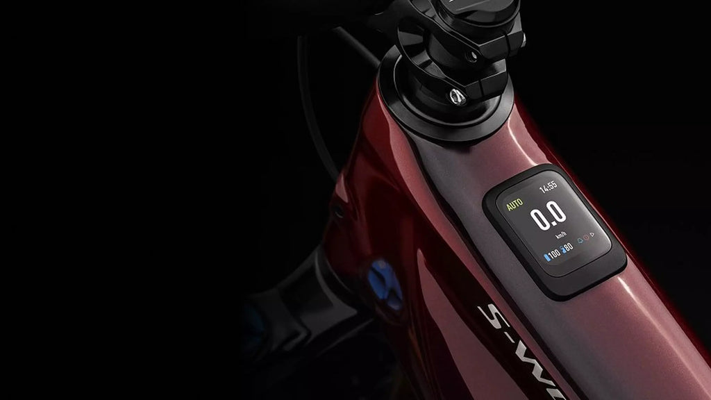 Turbo Levo trail capability and confident handling